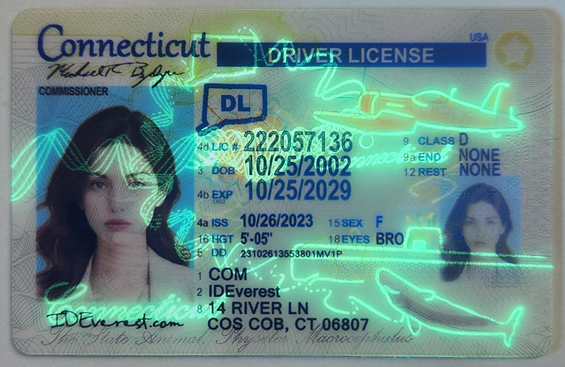 Connecticut Fake ID