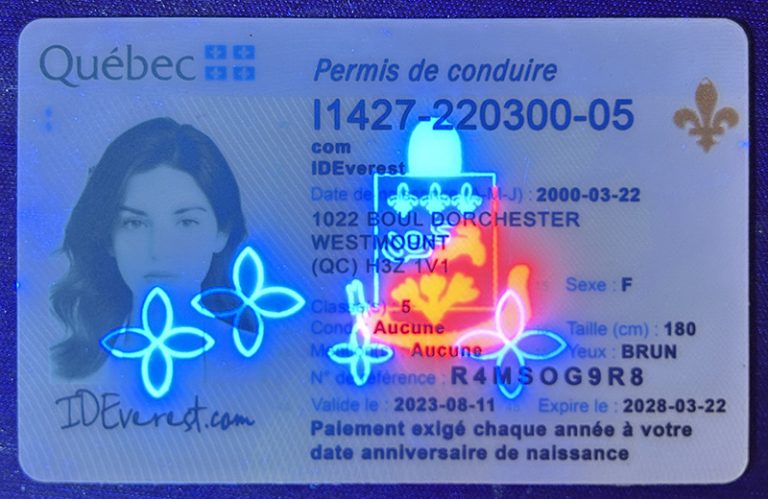 Qubec Fake ID